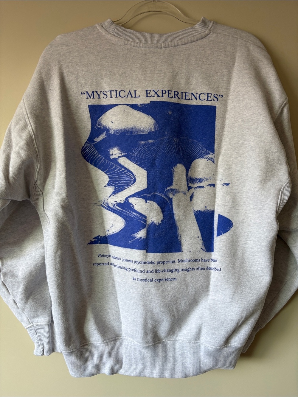 🍄TNA Fleece Boyfriend Light Gray Crewneck with Blue Mushroom Graphic